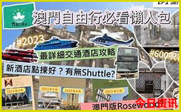 想报团旅游在哪里查看